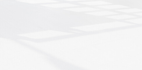 Obraz premium Abstract Shadow. blur background. gray leaves that reflect concrete walls on a white wall surface for blurred backgrounds and monochrome wallpapers.