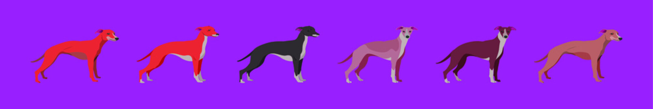 Set Of Whippet Dogs Cartoon Icon Design Template With Various Models. Vector Illustration Isolated On Purple Background