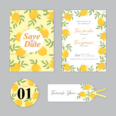 Lemon fruit background template. Vector set of lemon element for wedding invitations, greeting card, envelope, voucher, brochures and banners design.