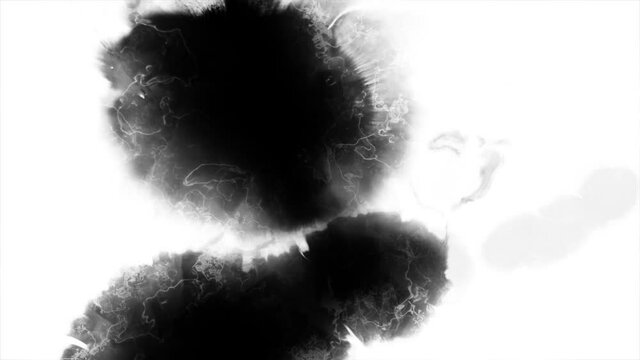Fire Burning paper camera Transition