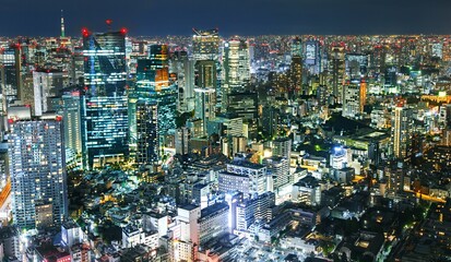 Fototapeta na wymiar Tokyo city skyline , Japan