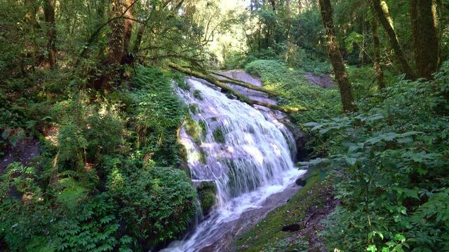 beautiful Lan Sa Ded waterfall at Kew Mae Pan Nature Trail in Doi Inthanon, Chiang Mai, Thailand