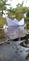 Fototapeta premium swan on the lake