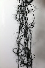 Black Wool