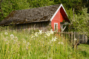 Fototapeta na wymiar Idyllic Large Garden House With Terrace In The Meadow