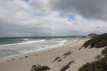 Beach scene, Kangaroo Island, South Australia.