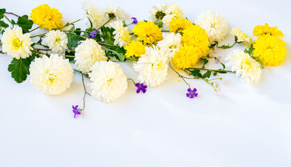 Banner of chrysanthemums and wildflowers on a white background with copy space