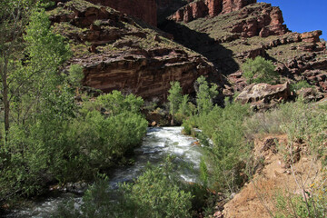 Fototapeta na wymiar Tapeats Creek in heavy summer flow by Upper Tapeats Campground in Grand Canyon National Park, Arizona.