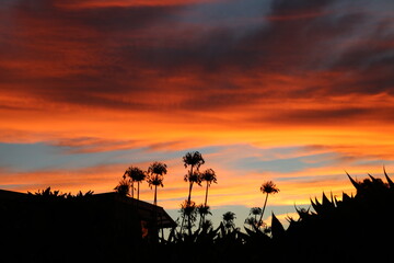 Fototapeta na wymiar Sunset delight