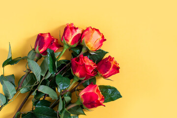 Red roses on yellow background. Flat lay, top view, free copy space. - 408453203