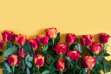 Red roses on yellow background. Flat lay, top view, free copy space. - 408453214