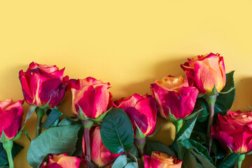 Red roses on yellow background. Flat lay, top view, free copy space.