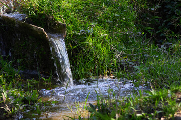 water flowing into the garden