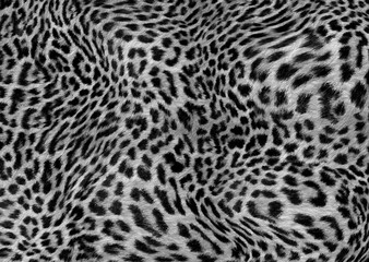  animal skin pattern	