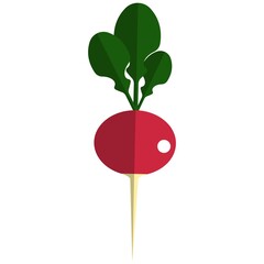 Radish icon, flat vector isolated illustration. Farm fresh vegetable. Healthy food.