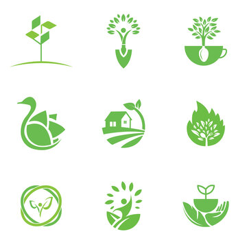 Eco Logo Design Template For Business And Company