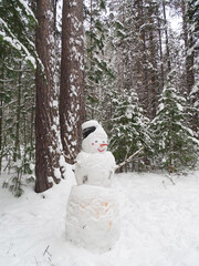 Happy smowman in winter forest