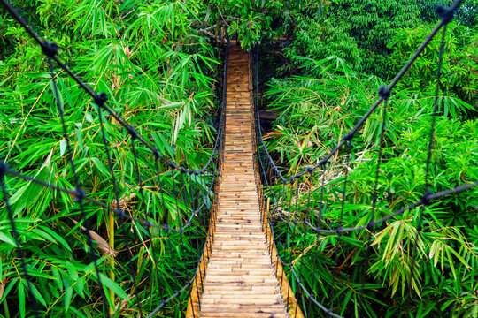 Fototapeta Traditional construction suspension pedestrian bridge made from natural bamboo. Cable bridge crossing river in tropical jungle. Footbridge over treetops and green bamboo thickets