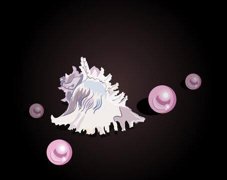 Vector illustration of pink pearl and shell on dark background