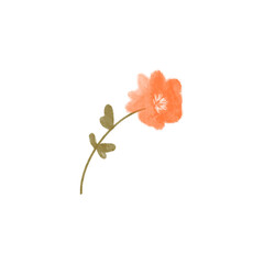 Kawaii cute textural spring orange  flower isolate on white background. Textured digital art. Print for postcard, textile, invitation, sticker, adhesive tape, tattoo, social media and letter.