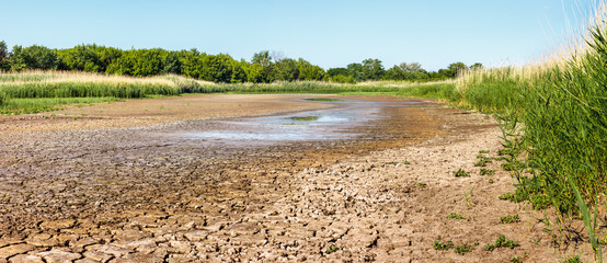 Dry riverbed with water remnant in puddles and cracked soil in hot summer time. Green forest and reed thickets on sides of waterless river in drought