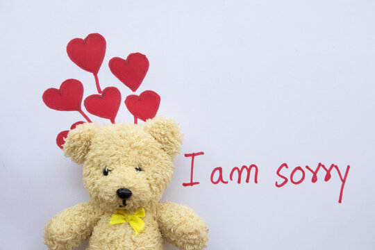 i am sorry message card handwriting with red heart draw in valentine and teddy bear on paper white