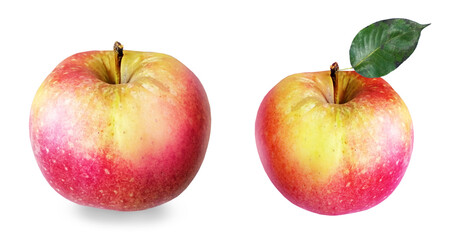 Color apples on white background