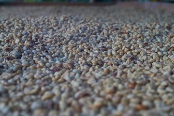 background of carpet