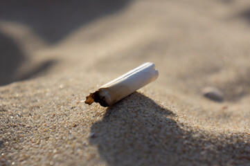 Cigarette butt in the sand. Human pollution