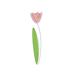 Flower on white background, vector illustration