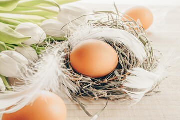 Basket easter decoration: natural colour eggs in basket with spring tulips, white feathers on wooden table background. Congratulatory easter design.
