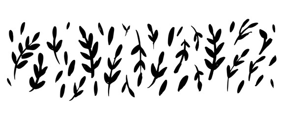 Hand drawn black ink bush branches with leaves set. Grunge dry paint rough brush strokes. Monochrome floral elements