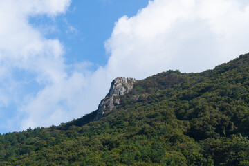 Mountain forest view with blue cloudy sky