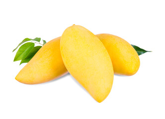 Yellow mango   isolated on a white background