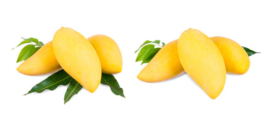 Yellow mango   isolated on a white background