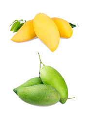 Yellow mango and green mango on white background