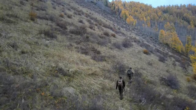 two men are walking along the slope of the halma, there are bushes around, in the distance you can see the forest, Republic of Tuva, Russia