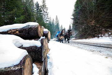  Skiing, winter, snow, sun and fun - kids, boy and girl having fun in the Alps. Child skiing in the mountains.  © Beenis