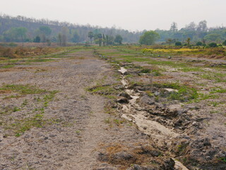 A long small irrigation water way digged along young longan trees, 1 year old, on a sandy loam...