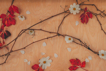 A composition with white flowers, red leaves, and vine on a wooden table