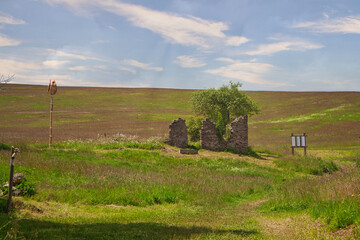 K&ouml;nigsm&uuml;hle