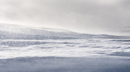 Snow surface under strong wind. Selective focus.
