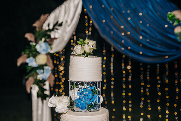Wedding cake with beautiful decor 