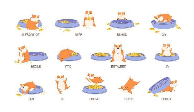 Educational set of hamster and English prepositions of place and movement. Cute and funny animal with bowls and vocabulary isolated on white. Colored flat vector illustration for language learning