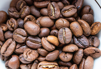 焙煎したてのコーヒー豆