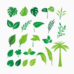 Leaf green vector set collection. leaf stock vector template