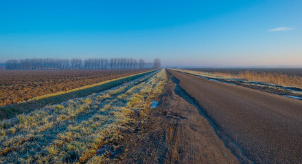 Fototapeta na wymiar Road in a frozen sunny misty agricultural field in the countryside below a blue foggy sky in sunlight in winter, Almere, Flevoland, The Netherlands, January 25, 2021