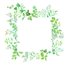 グリーンの色々な草花 水彩イラスト Wall Mural Wallpaper Murals Keikotakamatsu グリーンの色々な草花 水彩イラスト Wall Mural Wallpaper Murals Keikotakamatsu