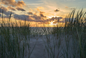 scenic sunset over the north sea with beach grass on a dune in forground - location: Vejers Strand, Denmark