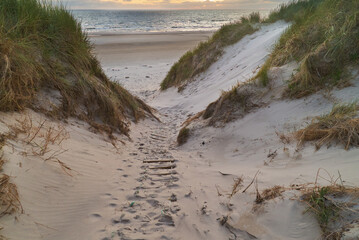 a corded ladder is lying on a path in the sand dunes at the beach Vejers Strand (Denmark)